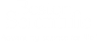 Boston Sientific Logo